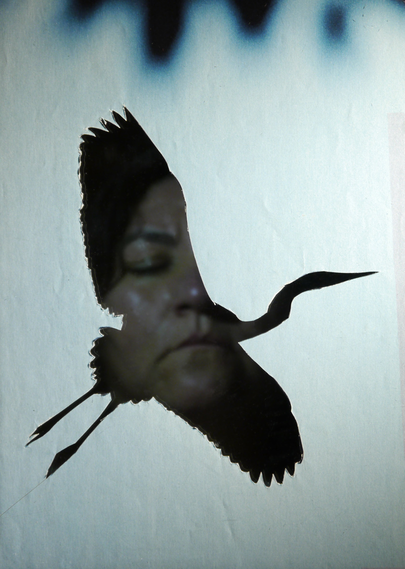 Extinction Ceremonies - Ximena